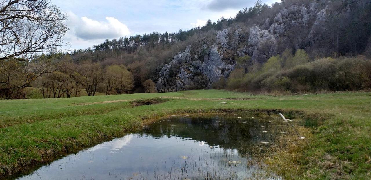 Rural Apartment Carolina Zrenj Luaran gambar