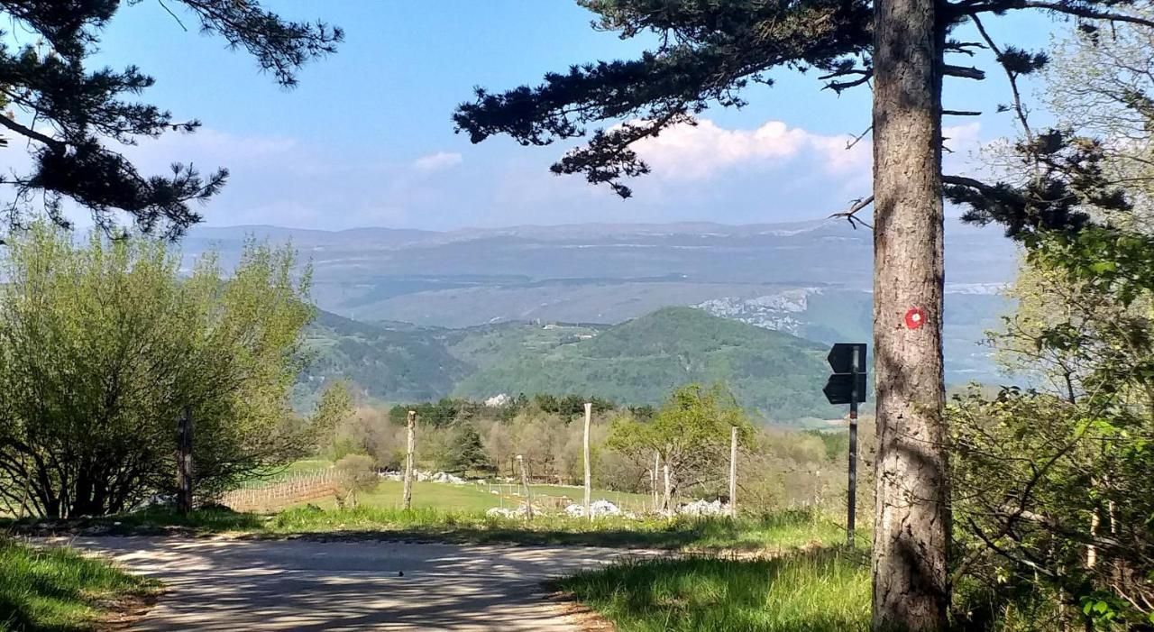 Rural Apartment Carolina Zrenj Luaran gambar