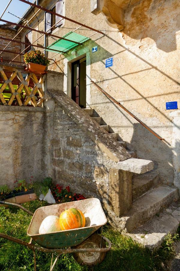 Rural Apartment Carolina Zrenj Luaran gambar